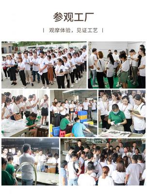 蜕变季 米苏灯饰M6+超级盈利系统第六期特训营顺利闭营，文化经纪人服务赋能行业新生态